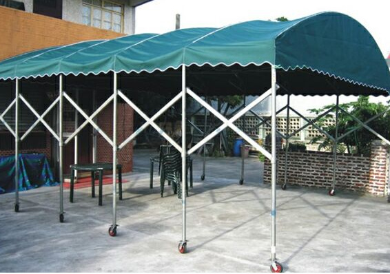 �������ƏS��