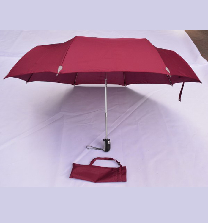 �Ԅ��_�P��������ۂ�