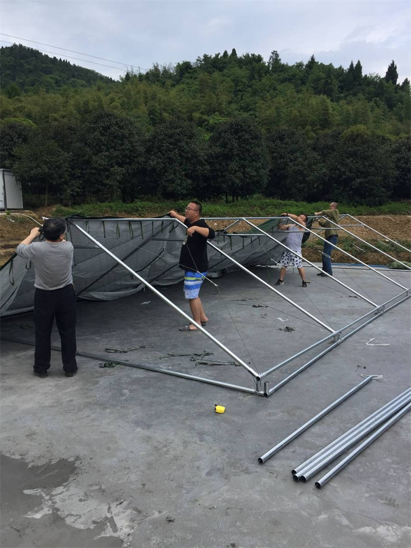 ��(y��ng)���Ȟ�(z��i)����